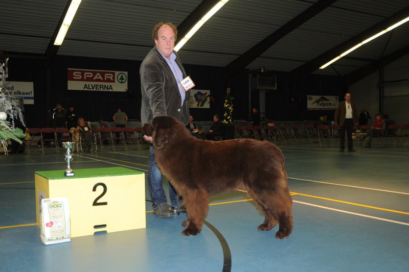 puppy maandag_2.jpg